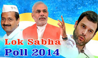 Lok Sabha poll 2014 logo